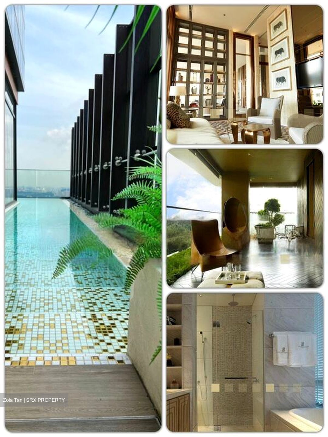 The Ritz-Carlton  (D9), Condominium #466511001